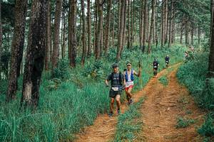 BIB: 
                            <button type="button" onclick="openModal(25658839)" class="btn btn-primary btn-sm float-right btn-popup" data-toggle="modal" data-target=".modal-high-quality">
                        <i class="fas fa-shopping-cart"></i> Add to Cart
                    </button>
                                            <button type="button" onclick="isThisMe(25658839, true)" class="btn btn-success btn-sm float-right btn-popup btn-isme hidden" data-toggle="tooltip" data-placement="bottom" title="นี่คือรูปของคุณใช่ไหม คลิกที่นี่เพื่อเอาเข้าอัลบั้ม">
                        <i class="fas fa-plus"></i> Add to album
                    </button>
                    <button type="button" onclick="isThisMe(25658839, false)" class="btn btn-warning btn-sm float-right btn-popup btn-isnotme hidden">
                        <i class="fas fa-ban"></i> Remove from album
                    </button>